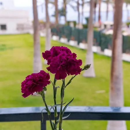 Apartment Ocean Coast Cristianos Comodoro *